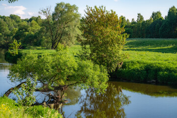 river forest landscape