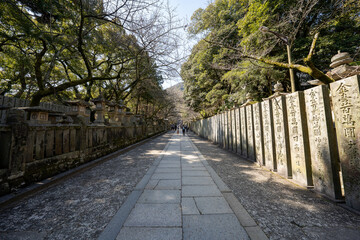 金比羅山の風景