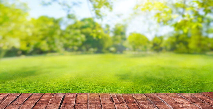 green grass blurred background with sun rays in park meadow and wooden floor
