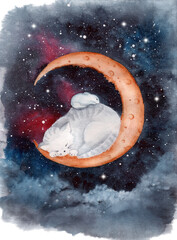  Watercolor picture of a cat and a mouse sleeping on the crescent moon with starry background