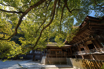 金比羅山の風景