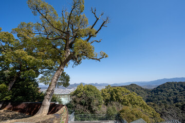 金比羅山の風景