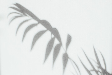 Shadows of decorative palm tree branches on a gray background. Natural background. Selective focus