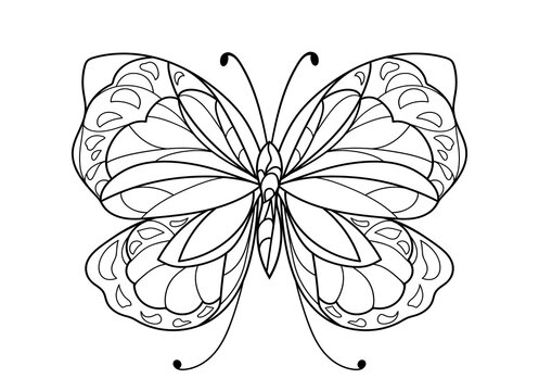 Butterfly. Contour illustration of an insect.Coloring page. Coloring.