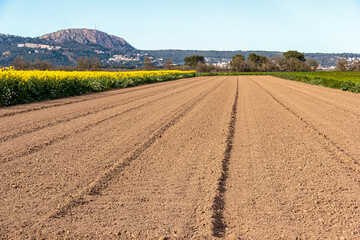 ploughed field ready for cultivation
