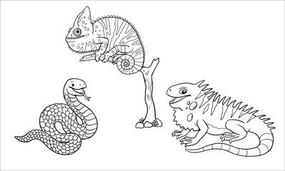 Cute iguana, chameleon and snake to color in. Vector template for a coloring book with funny animals. Coloring template for kids.