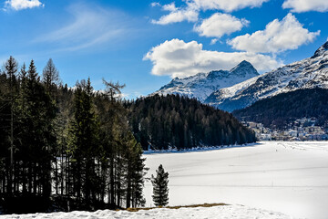 St. Moritz, St. Moritzersee, Oberengadin, Alpen, Corviglia, Piz Nair, Piz Julier, Piz Albana, Winter, Wintersport, Winterwanderung, Stazerwald, Graubünden, Schweiz