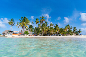 Palm beach tropical Island