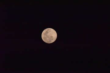 Moon at it largest also called supermoon, aprox ten procent larger than usual. Photo by super tele len zoom 600 mm.