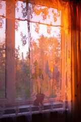 The sun's rays at sunset shine through the window, illuminating the house with a warm glow