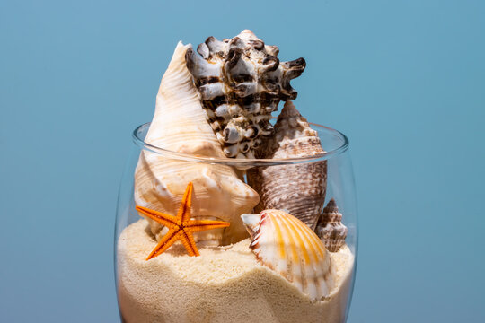 Glass with various conches and sand