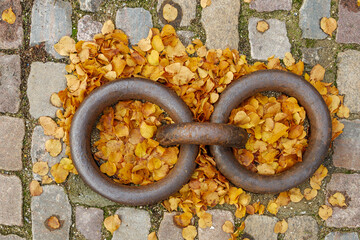 Selective focus top view at rusty boat tie ring on the stone street and autumn leaves. 
