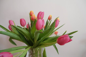 bouquet of pink and yellow tulips in vase closeup across white all on the wooden drawer. Interior detail. Hotel interior