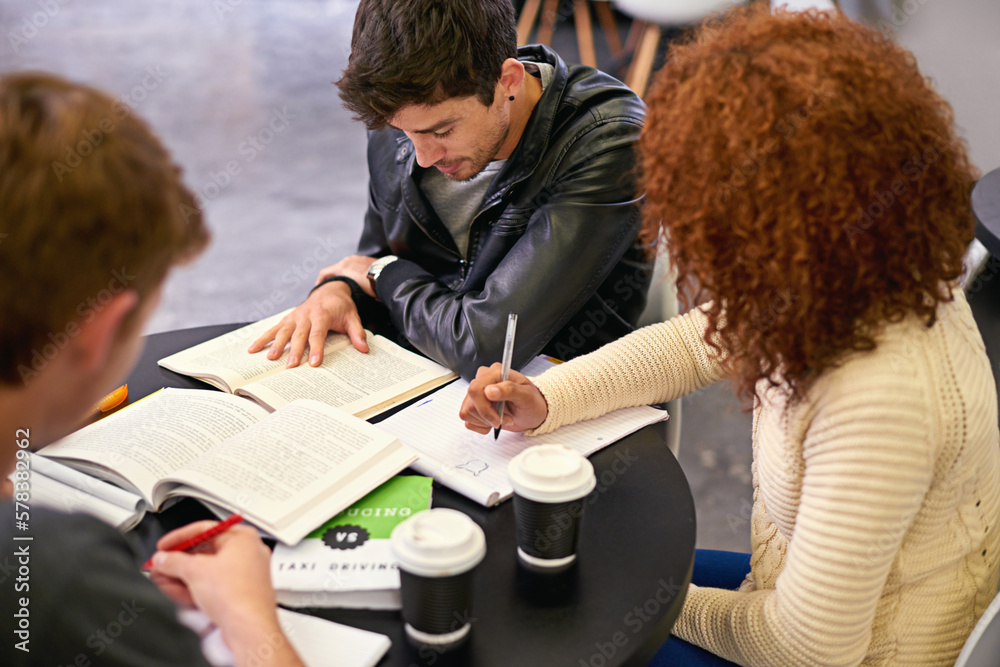 Poster the pursuit of the elusive a. a group of students studying together in university a library.