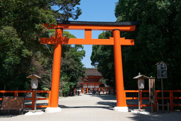下鴨神社 糺の森と鳥居 京都市