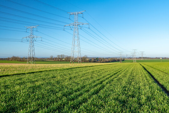 Pylones Edf de ligne &agrave; tr&egrave;s haute tension traversant un champ de bl&eacute; en Seine-maritime
