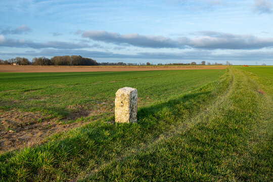 Bornage de parcelles agricoles. Borne en pierre d&eacute;limitant 2 champs contigus