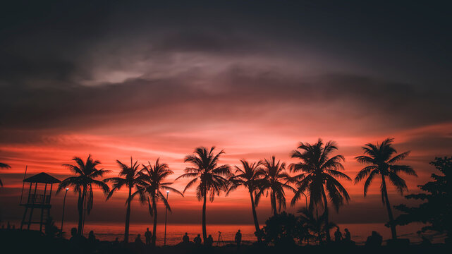 Silhouette coconut palm trees on the beach and sunset in a vintage tone. Beautiful tropical beach with palm tree silhouettes at Sea. Silhouette of the coconut palm tree on the sea and sunset
