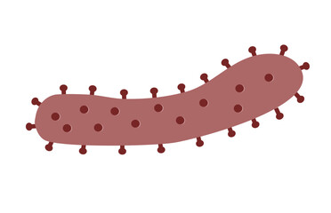 The virion of Marburg Virus that infects to host cell and result in MVD (Marburg Virus Disease) and occurrence.