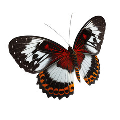 red black butterfly flying , isolated on transparent background cutout , generative ai