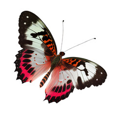 top view of black pink butterfly , isolated on transparent background cutout , generative ai