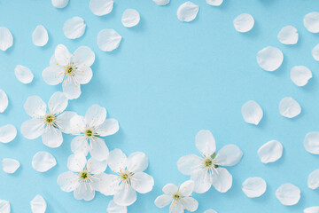 cherry flowers on paper background