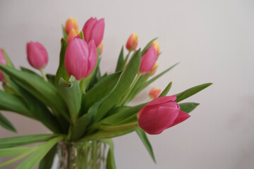 bouquet of pink and yellow tulips in vase closeup across white all on the wooden drawer. Interior detail. Hotel interior