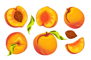 A set of peaches.Natural, fresh, organic fruits.Vector illustration.