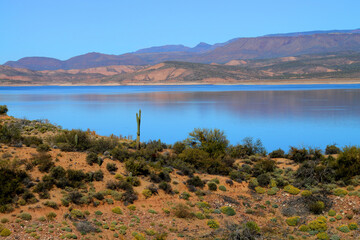 Blue Skies Roosevelt Lake Arizona
