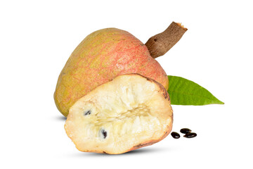 Rare medicinal fruit Ramphal , Annona reticulta or Wild sweetsop, custard apple fruit isolated on...