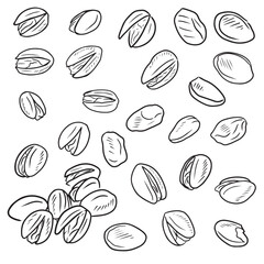 Realistic pistachios nuts in group in black isolated on white background. Hand drawn vector sketch illustration in outline vintage engraved style. Salty delicious organic food, nutshells.