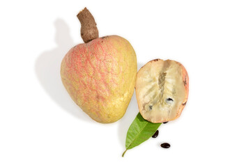 Rare medicinal fruit Ramphal , Annona reticulta or Wild sweetsop, custard apple fruit isolated on white background