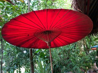 Schirm unter einem Blätterdach im Urwald von Thailand