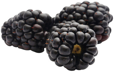 Newly harvested fresh blackberries