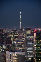 city skyline at night in Tokyo