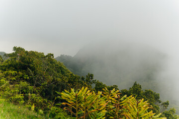 Fototapeta na wymiar scenic overlook over foggy knife-edged kalalau valley and the pacific ocean in kauai, hawaii