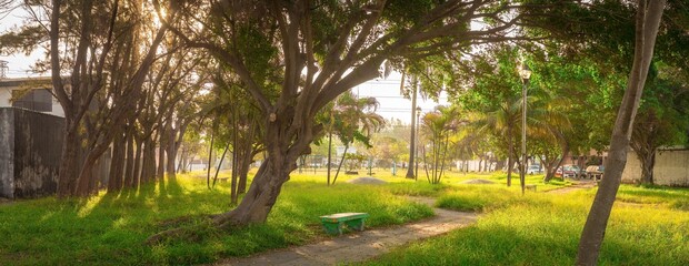 Panorama de un Parque