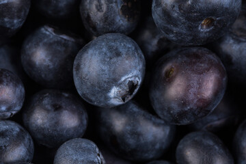 Blueberries on white background