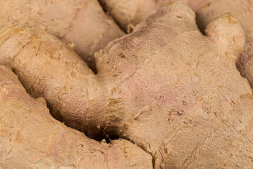 Obraz premium heap of ginger root