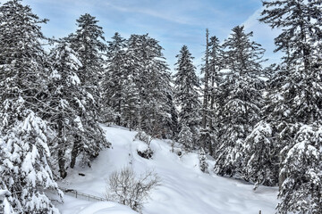 Landscape of the famous Pont d'Espagne ski resort in Cauterets in the Hautes-Pyrénées, Occitanie