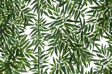 Naklejka premium Watercolor painting of exotic bamboo trees pattern and background