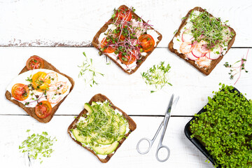 Varied breakfast, appetizer wholegrain bread sandwiches, toasters with cream cheese, radish, avocado, tomatoes, shrimp, egg, micro greens on a light background, top view