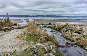 Stream To Puget Sound 3