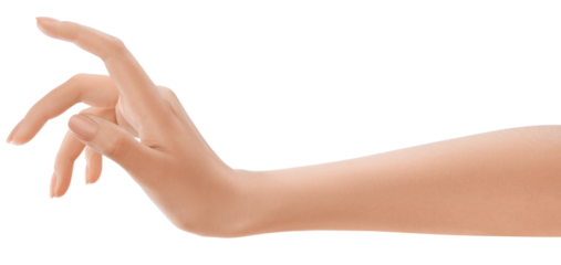 Elegant female hand, perfect skin, manicure. Hand hold. Sign and gesture. Photograph of a woman's hand, emphasizing community and togetherness.