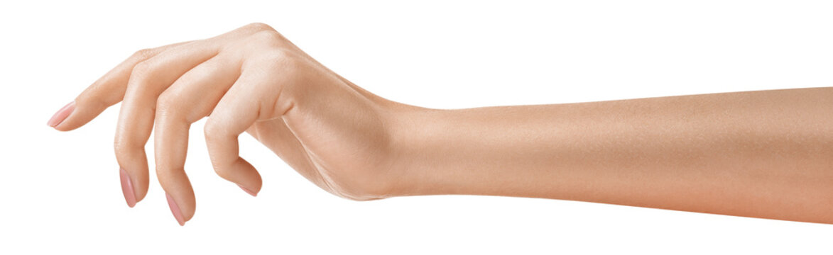 Beautifully hand holding something, concept for tech or social media-related content. Well-manicured hand holding. Nature or gardening-related promotions concept.