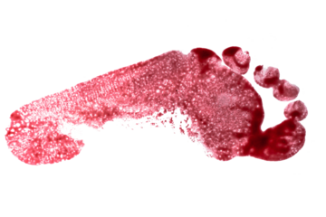 Bloody footprint isolated.	
