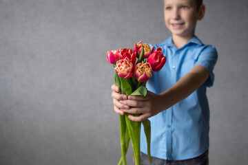 A cute boy stretched out his hands with a bouquet of tulips for congratulations. mother's day gift
