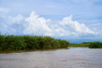 View of the Virunga Mountains in Congo from the Rusizi River delta, Burundi