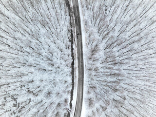 Drone view of a snowy forest through which the road passes