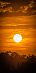 Sunrise at the Amazon rainforest